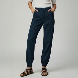 Anthropologie AMO Madeline Joggers in Neptune Size 25 NEW